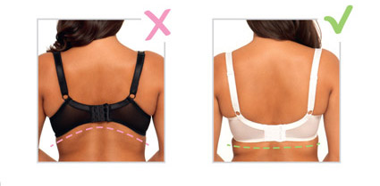 How To Wear Your Bra Video
